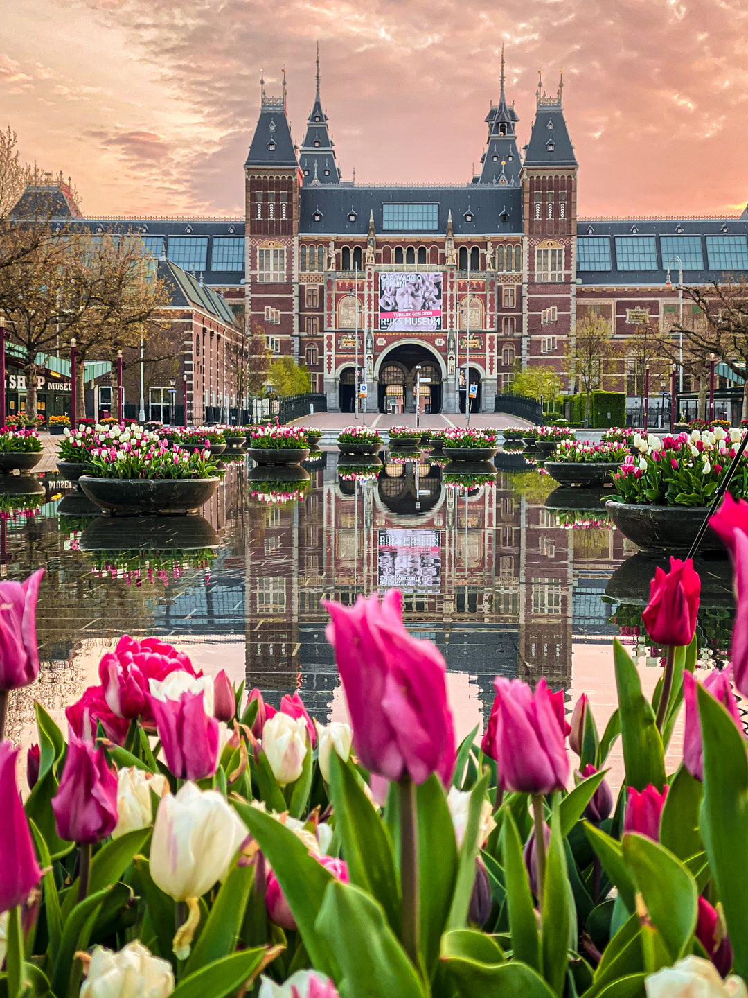 Rijksmuseum Tulips