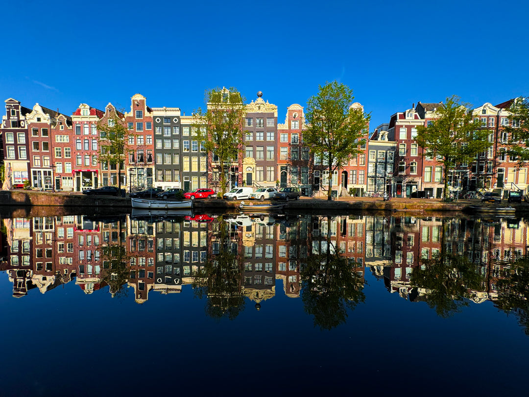 Spring Reflections