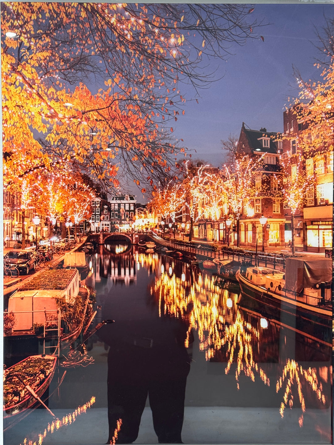 GALLERY SALE - Christmas Lights Premium Glossy 75x100cm