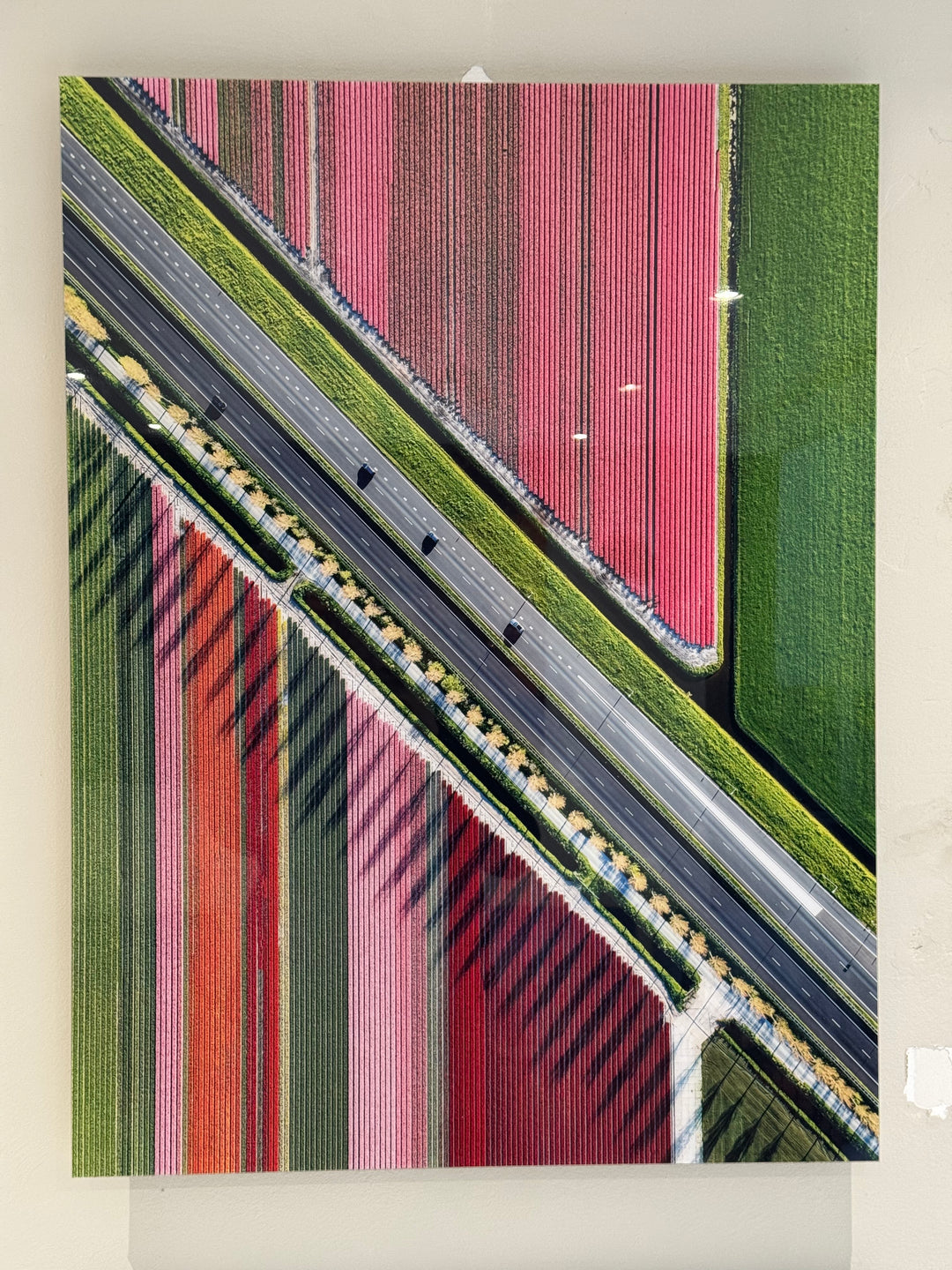 GALLERY SALE - Tulip Highway Premium Glossy 60x80cm