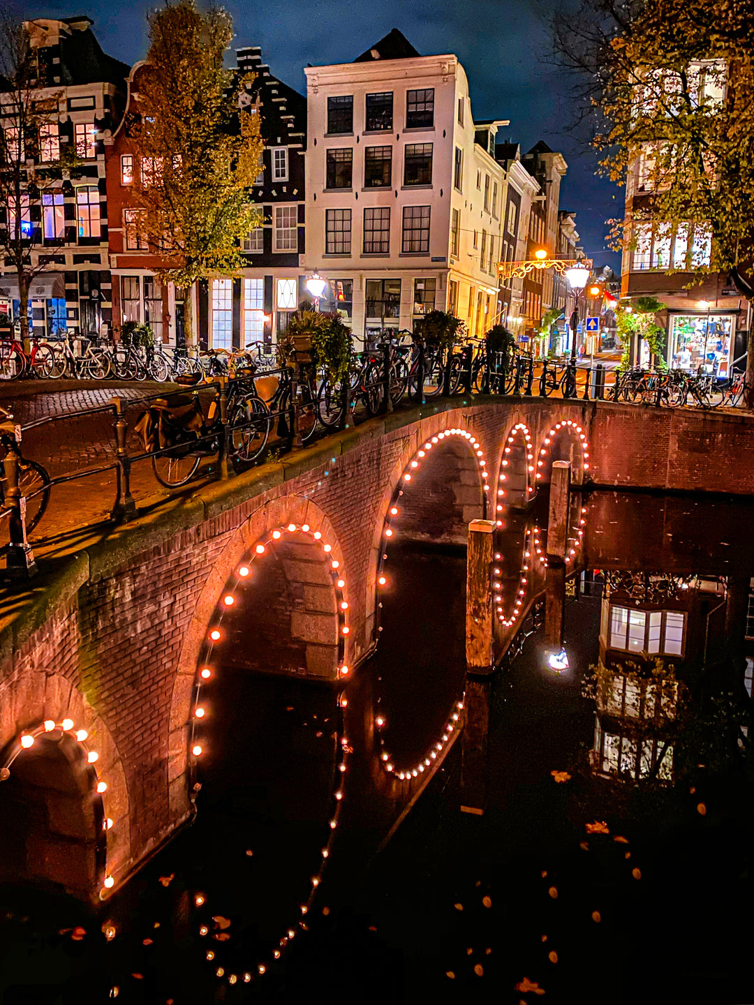 Festive Lights