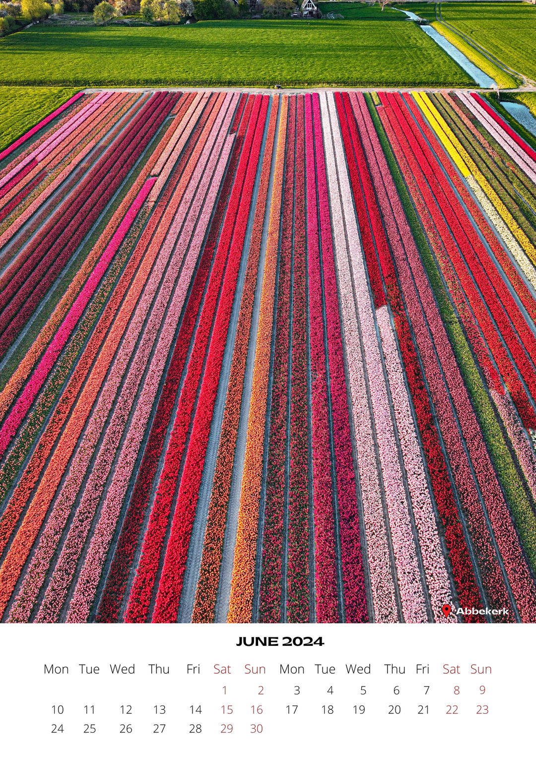 Tulip 2024 Calendar - FREE WORLDWIDE SHIPPING