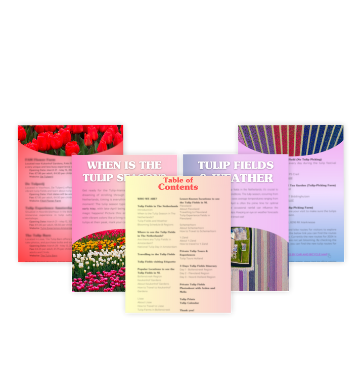 The Ultimate Tulip Fields Guide (E-Book)