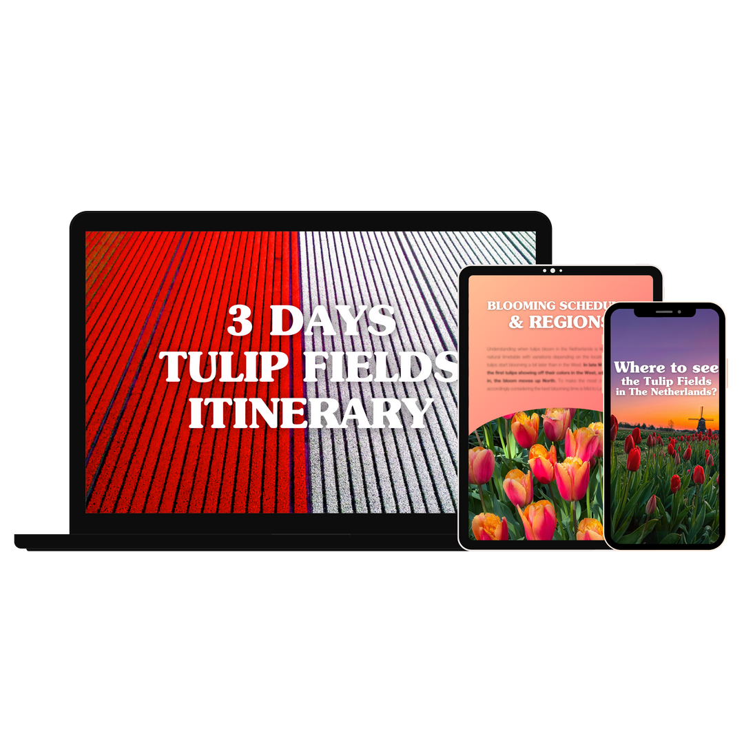 The Ultimate Tulip Fields Guide (E-Book)