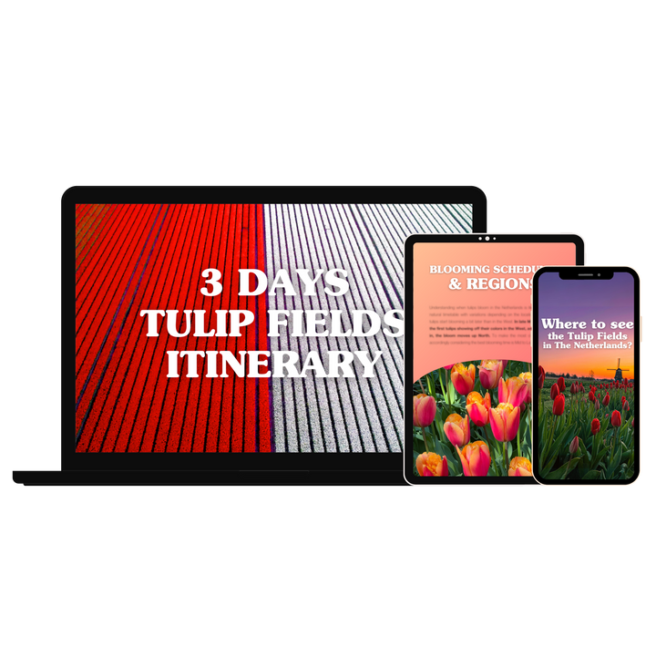 The Ultimate Tulip Fields Guide (E-Book)