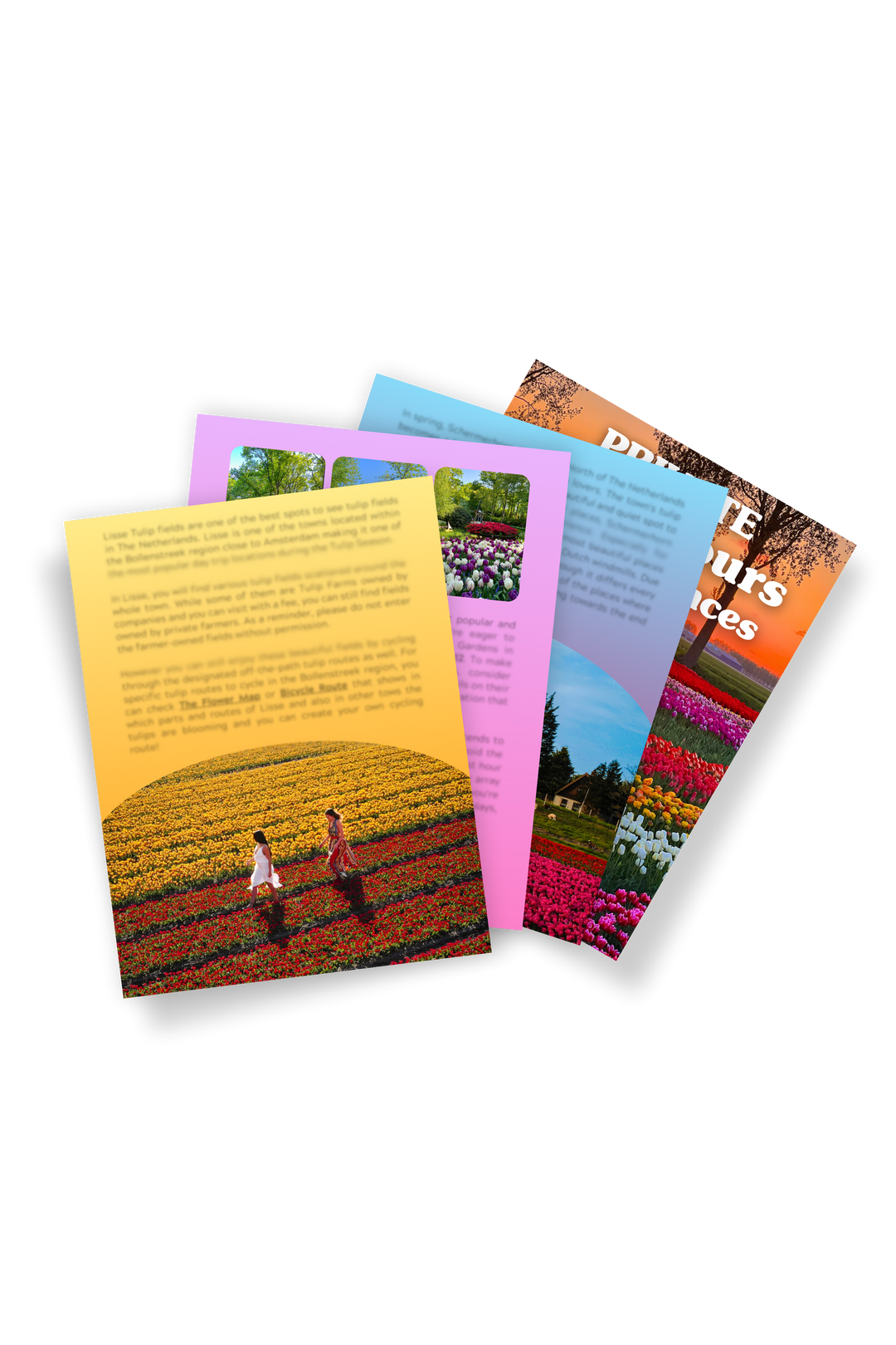 The Ultimate Tulip Fields Guide (E-Book)