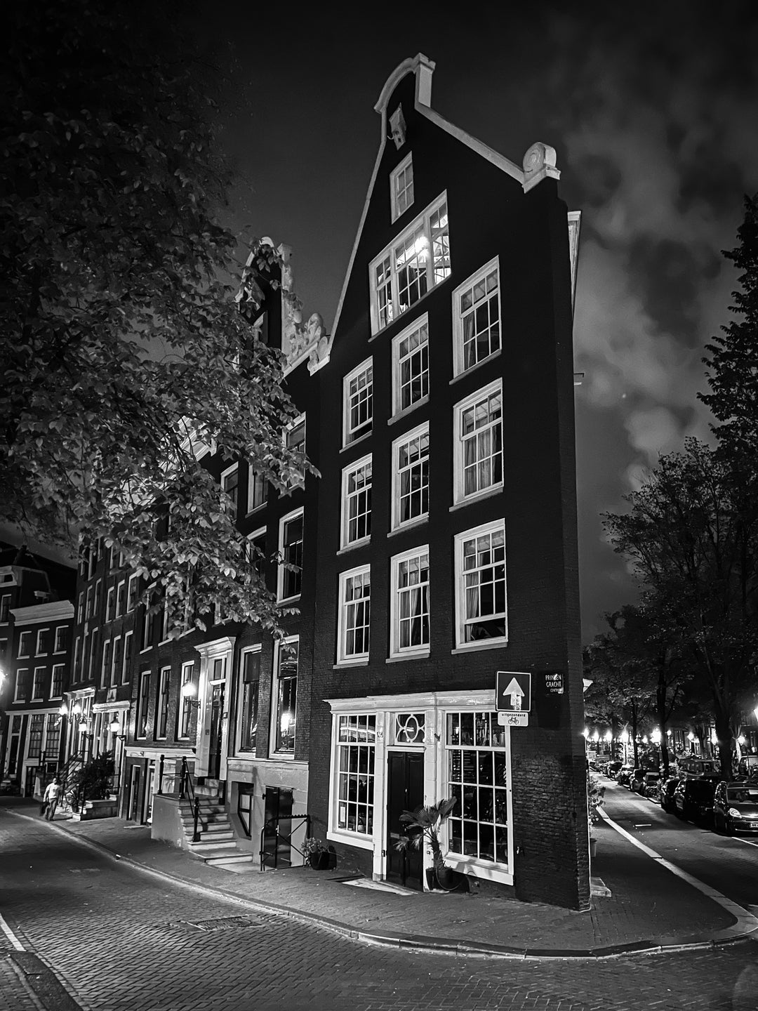 Skinny House Black & White