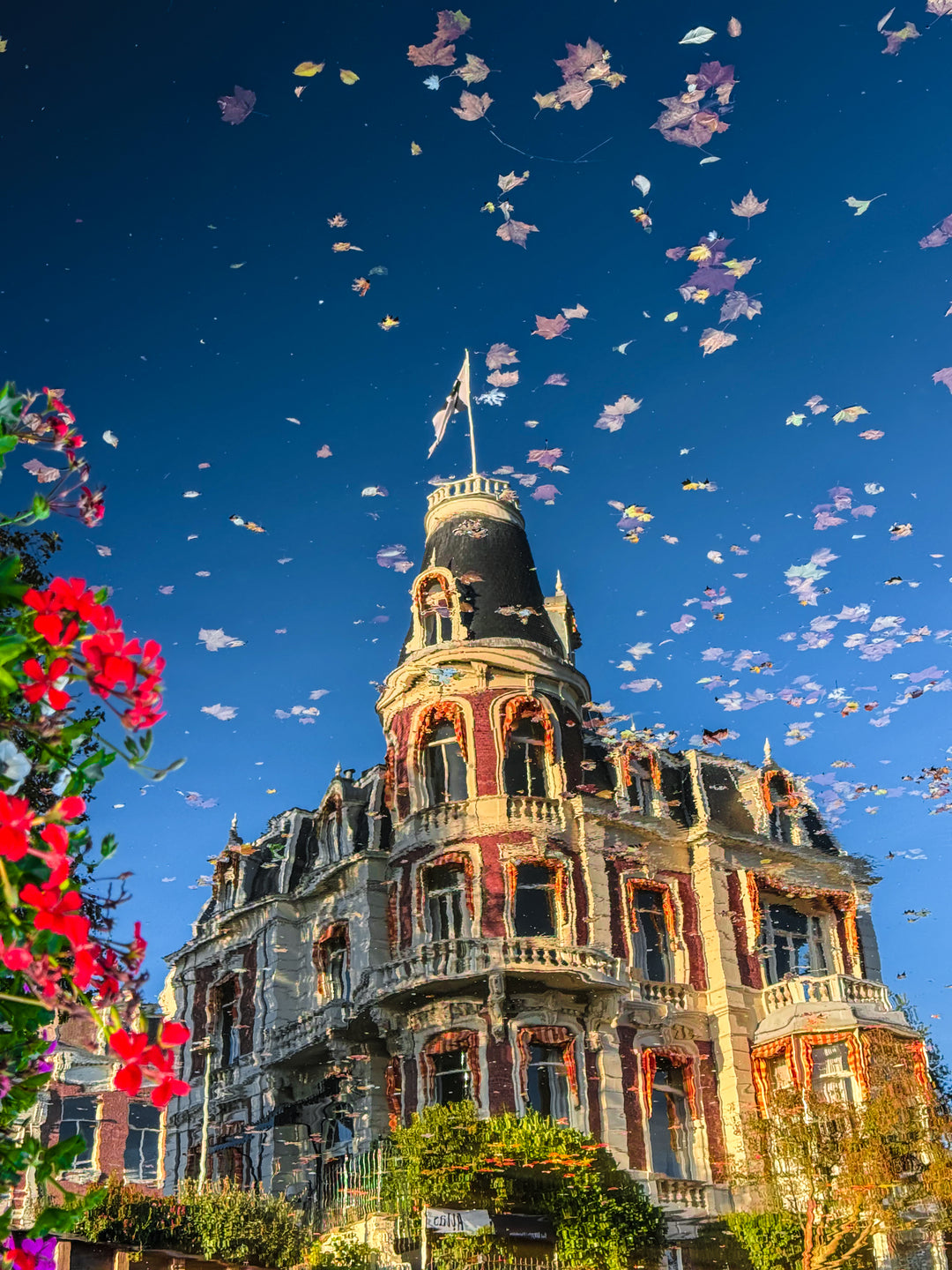 Amsterception Fall Mornings