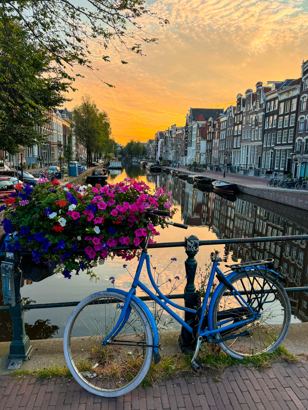 Sunset Bike