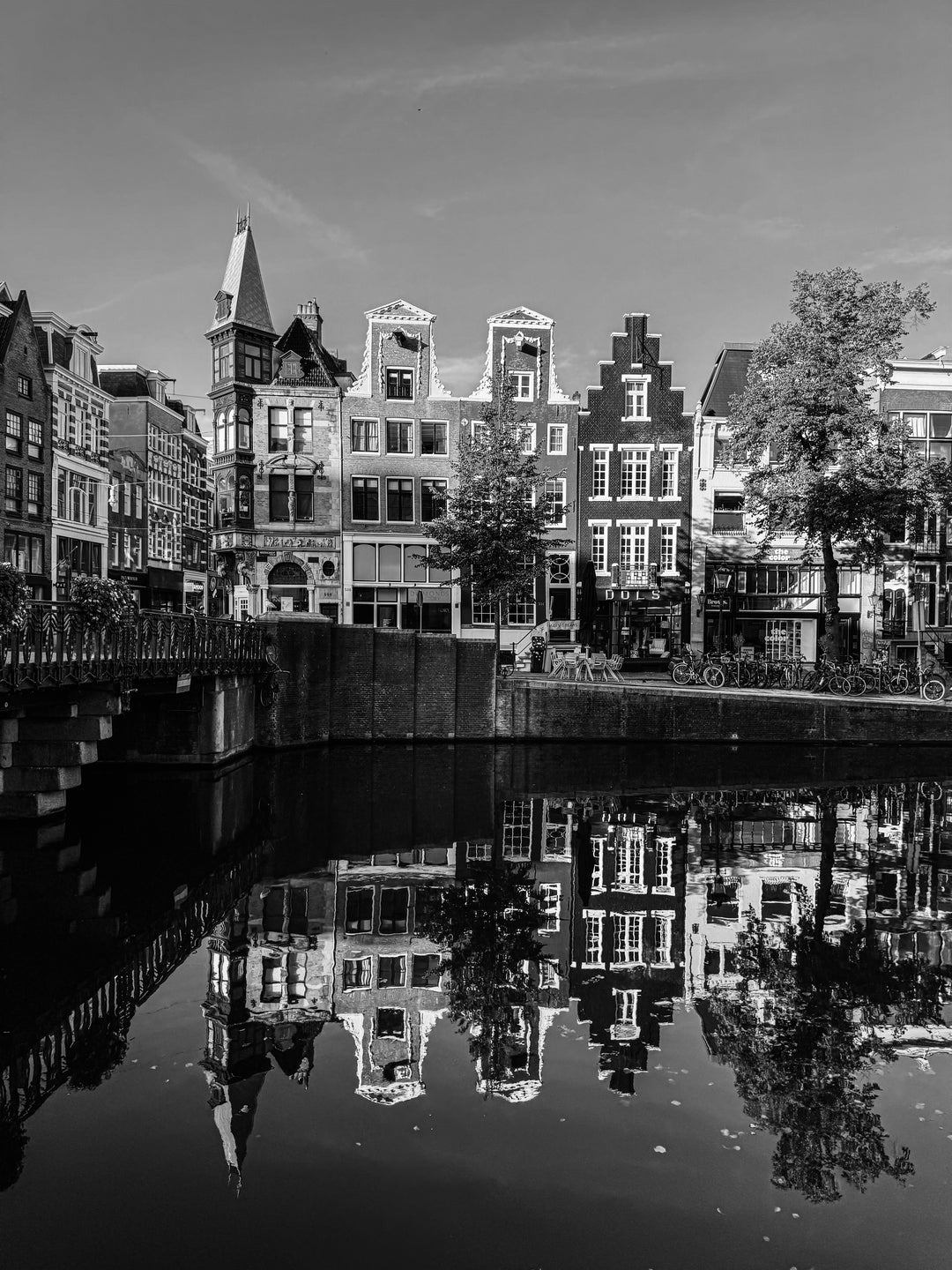 Daytime Reflections