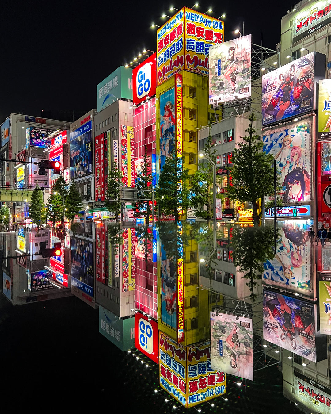 Tokyo Reflections