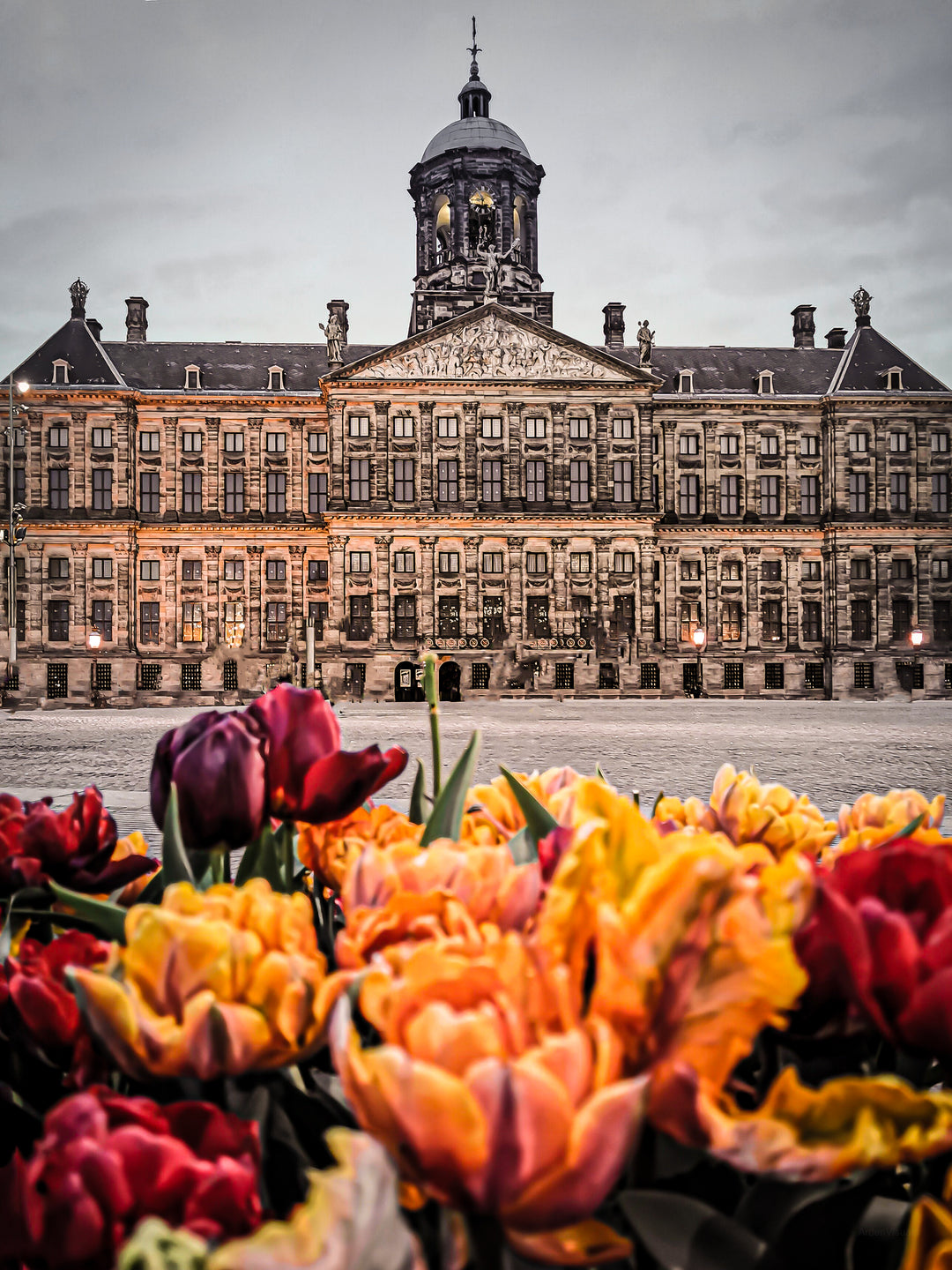 Royal Palace & Tulips