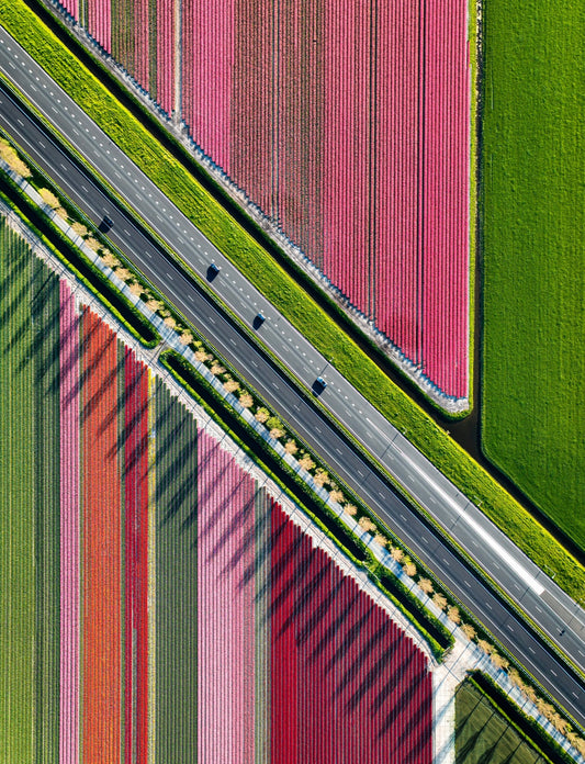 Tulip Highway