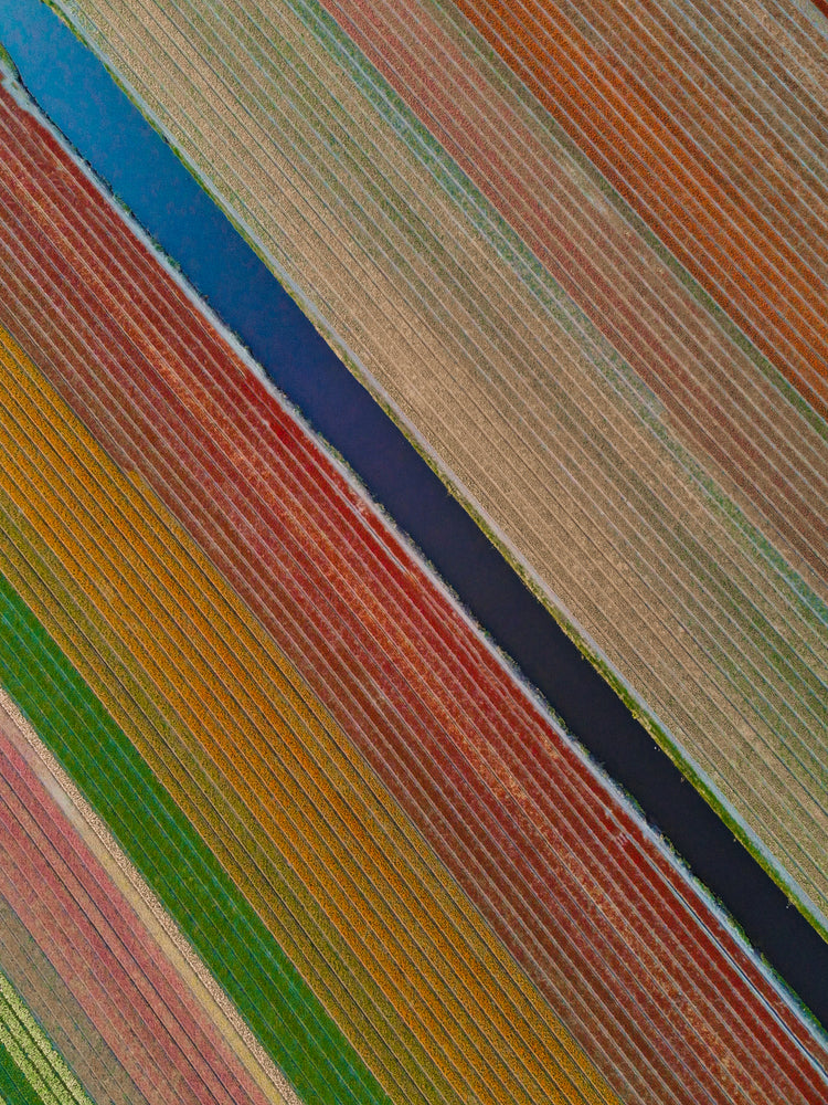 Rainbow fields